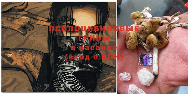 кокаин перу Новодвинск