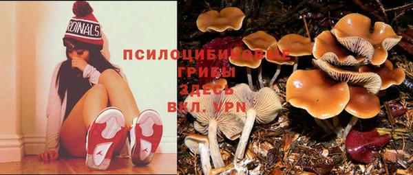 кокаин перу Новодвинск