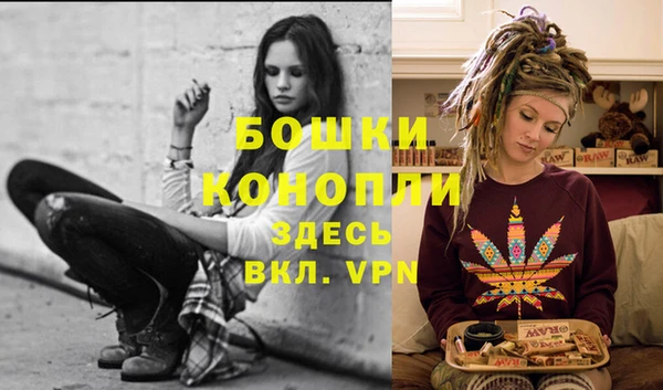 винт Новозыбков
