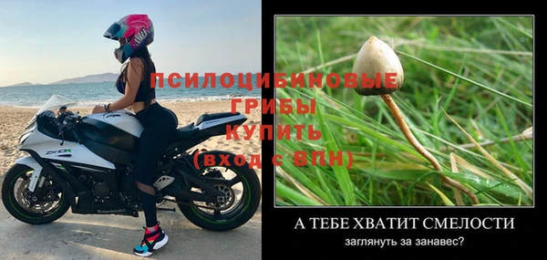 дмт Нефтекумск